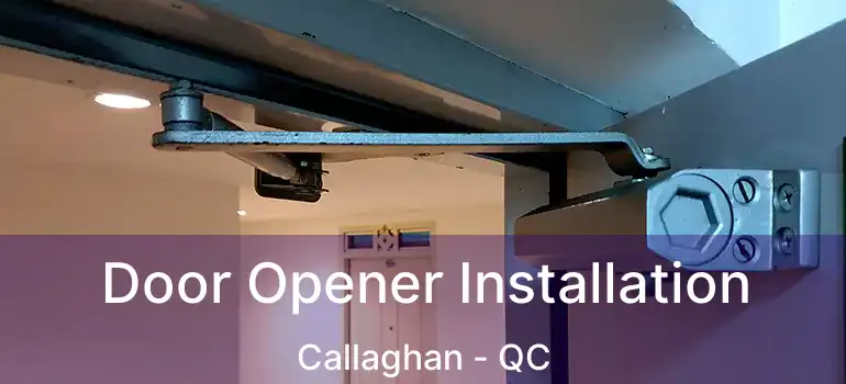 Door Opener Installation Callaghan - QC