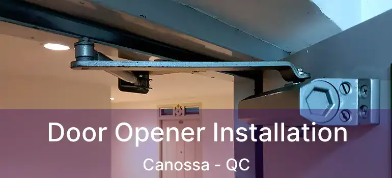  Door Opener Installation Canossa - QC
