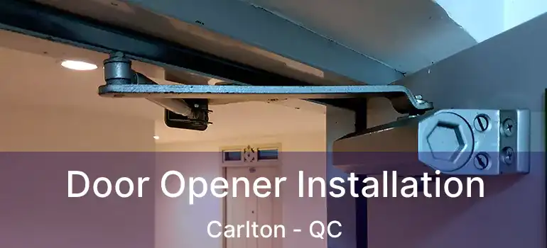  Door Opener Installation Carlton - QC
