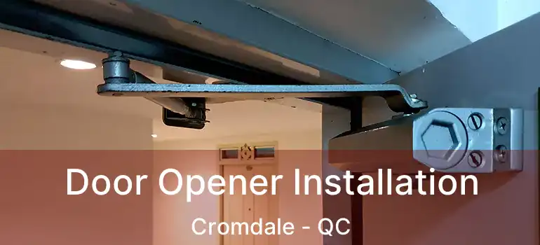  Door Opener Installation Cromdale - QC
