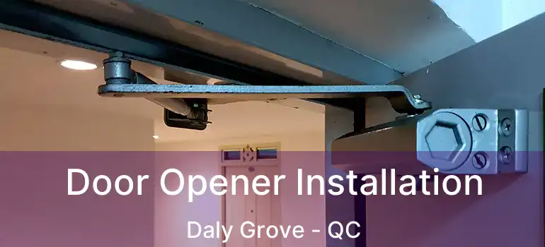 Door Opener Installation Daly Grove - QC