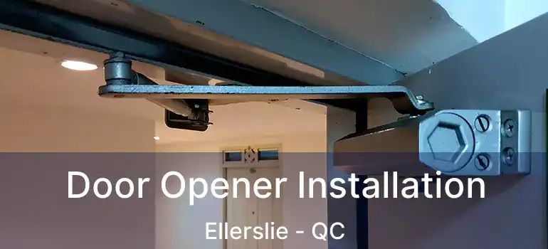  Door Opener Installation Ellerslie - QC