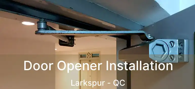  Door Opener Installation Larkspur - QC