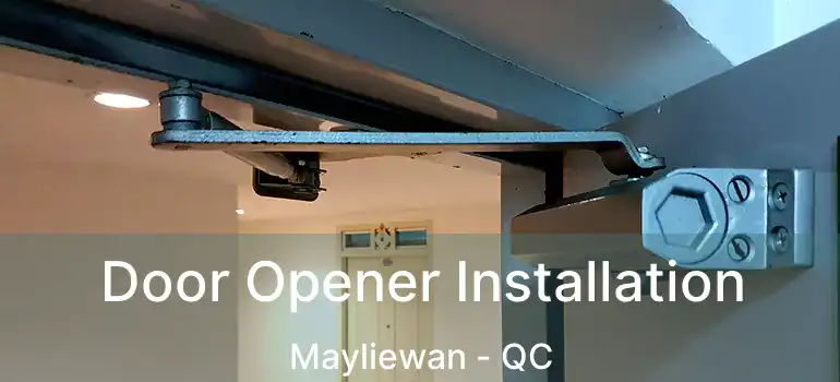  Door Opener Installation Mayliewan - QC