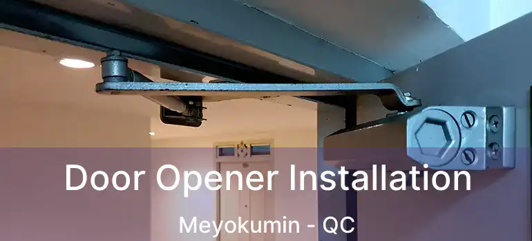  Door Opener Installation Meyokumin - QC