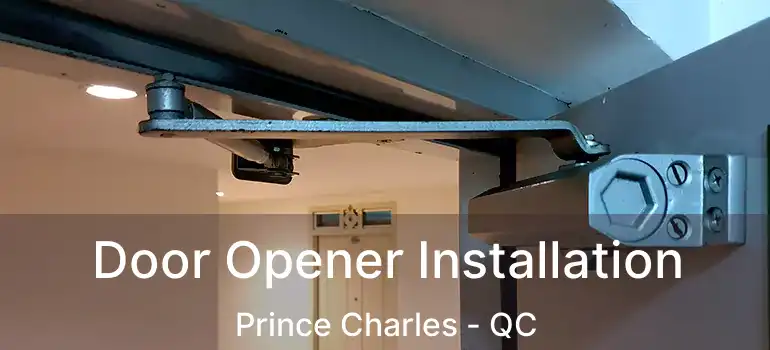  Door Opener Installation Prince Charles - QC