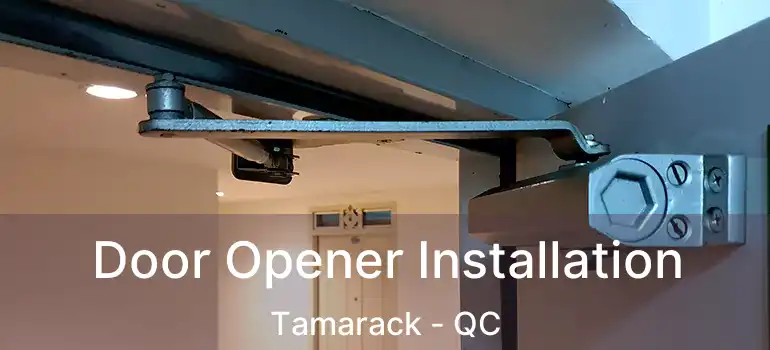  Door Opener Installation Tamarack - QC