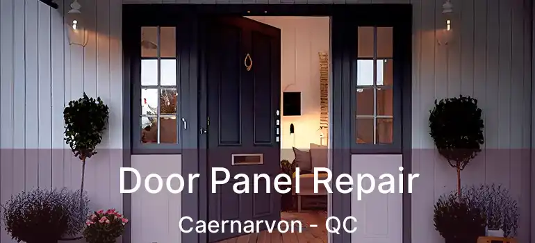  Door Panel Repair Caernarvon - QC