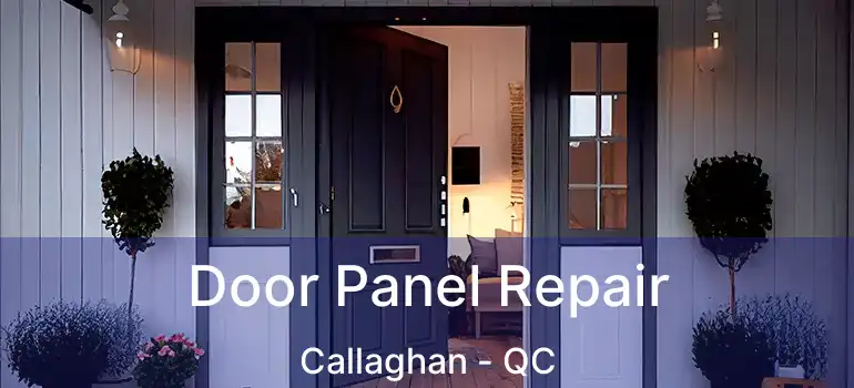  Door Panel Repair Callaghan - QC