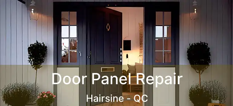  Door Panel Repair Hairsine - QC
