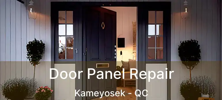  Door Panel Repair Kameyosek - QC