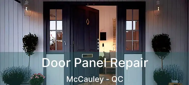  Door Panel Repair McCauley - QC