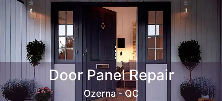  Door Panel Repair Ozerna - QC