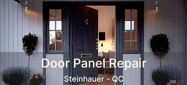  Door Panel Repair Steinhauer - QC