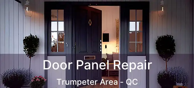  Door Panel Repair Trumpeter Area - QC