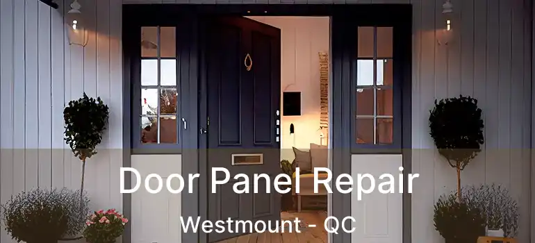  Door Panel Repair Westmount - QC