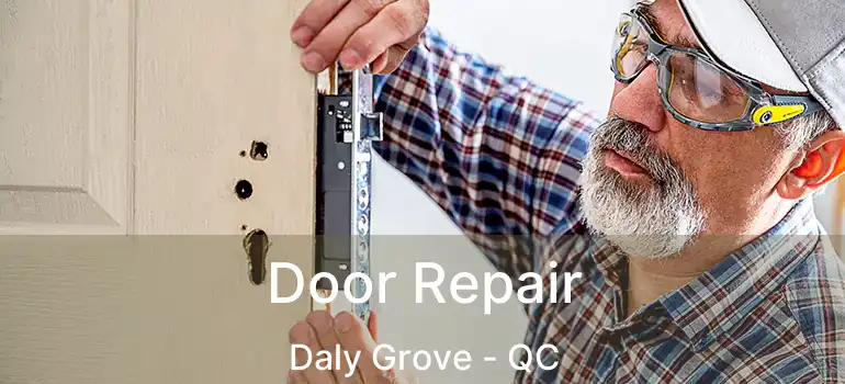  Door Repair Daly Grove - QC