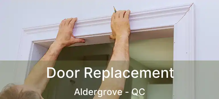  Door Replacement Aldergrove - QC