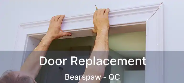  Door Replacement Bearspaw - QC