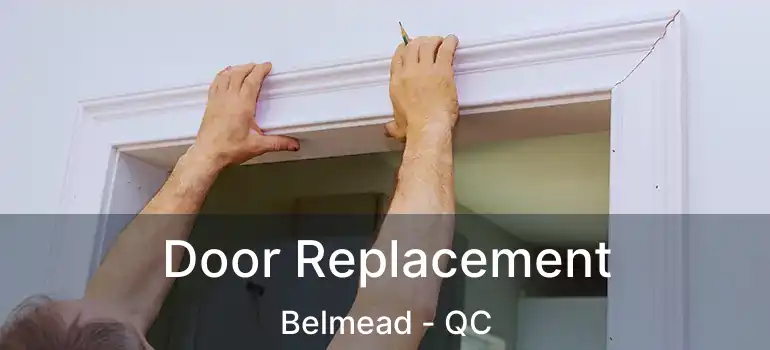  Door Replacement Belmead - QC