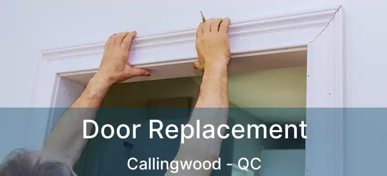  Door Replacement Callingwood - QC