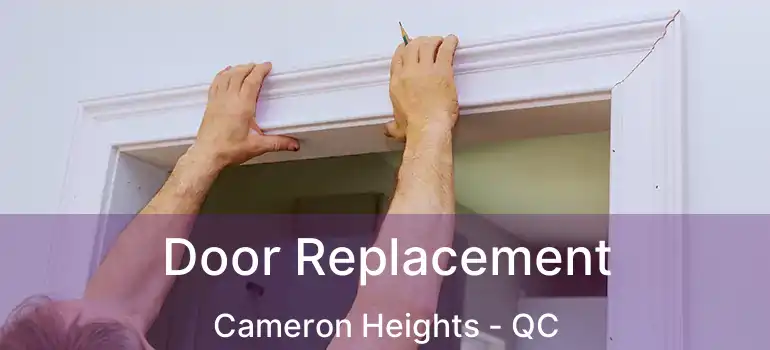  Door Replacement Cameron Heights - QC