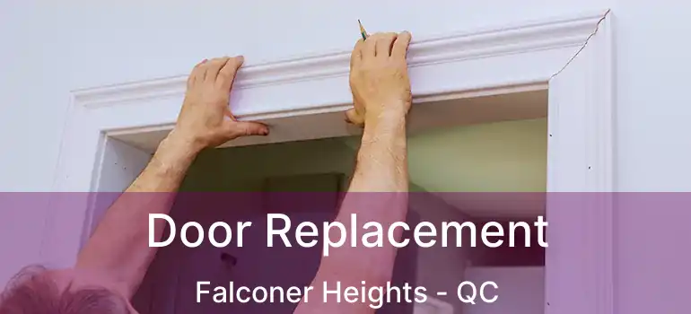  Door Replacement Falconer Heights - QC