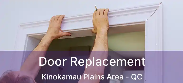  Door Replacement Kinokamau Plains Area - QC