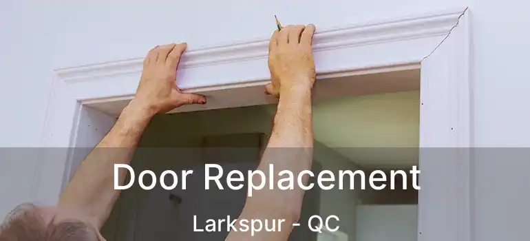  Door Replacement Larkspur - QC