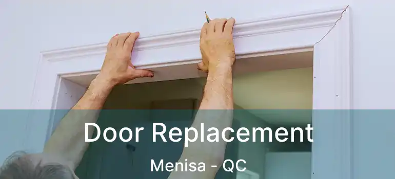  Door Replacement Menisa - QC