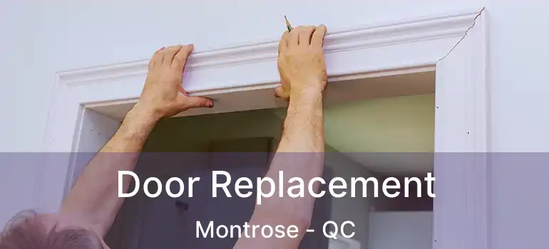  Door Replacement Montrose - QC