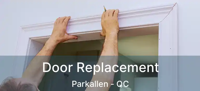  Door Replacement Parkallen - QC