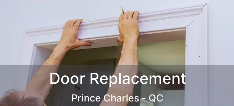  Door Replacement Prince Charles - QC
