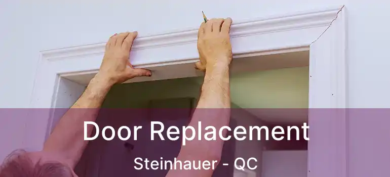  Door Replacement Steinhauer - QC