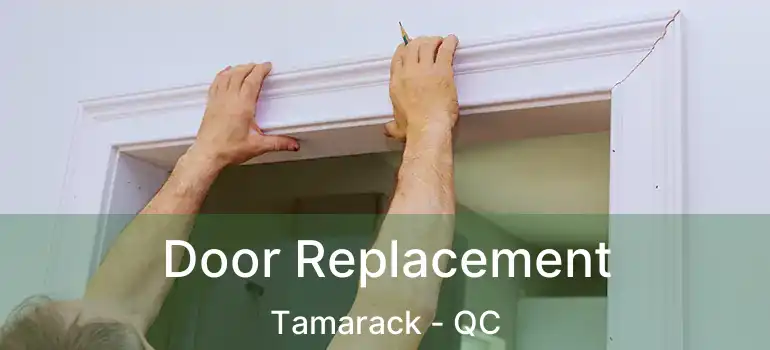  Door Replacement Tamarack - QC