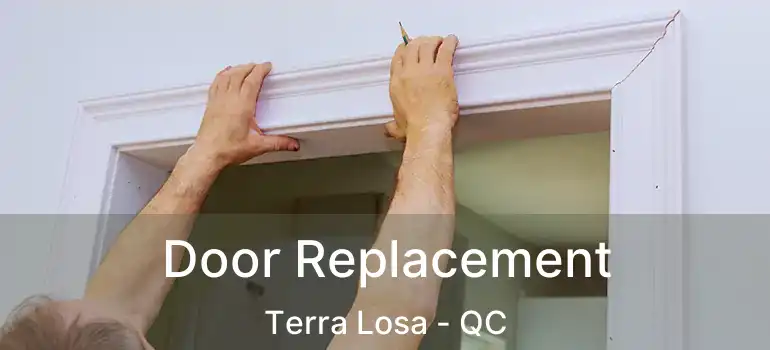  Door Replacement Terra Losa - QC