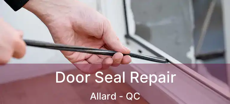  Door Seal Repair Allard - QC