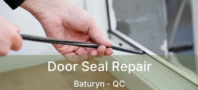  Door Seal Repair Baturyn - QC