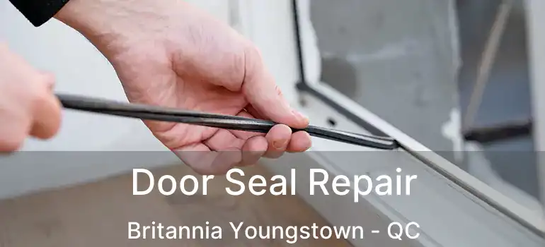  Door Seal Repair Britannia Youngstown - QC