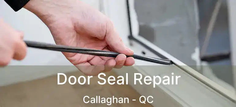  Door Seal Repair Callaghan - QC