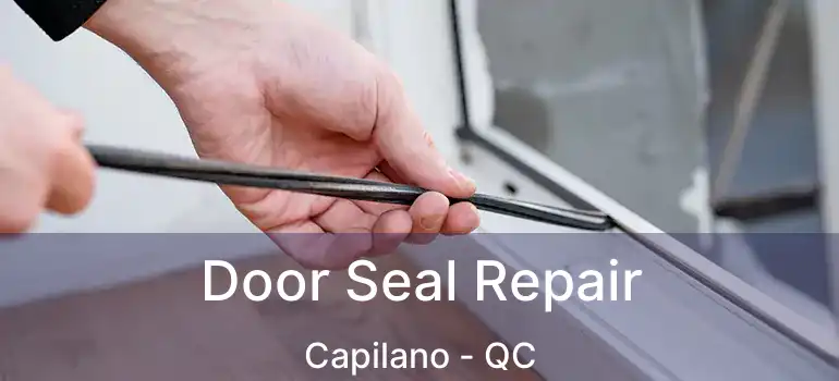  Door Seal Repair Capilano - QC