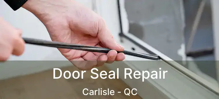  Door Seal Repair Carlisle - QC