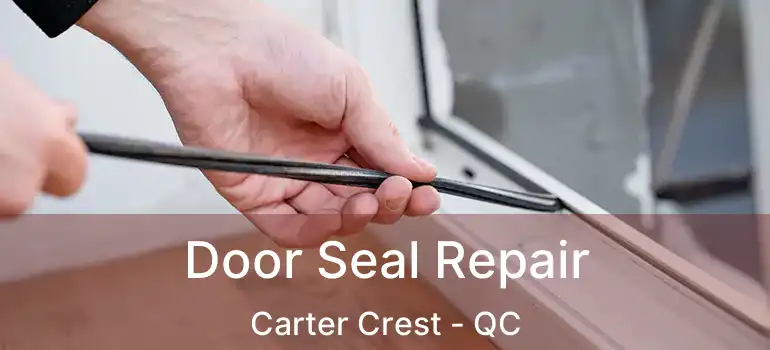  Door Seal Repair Carter Crest - QC