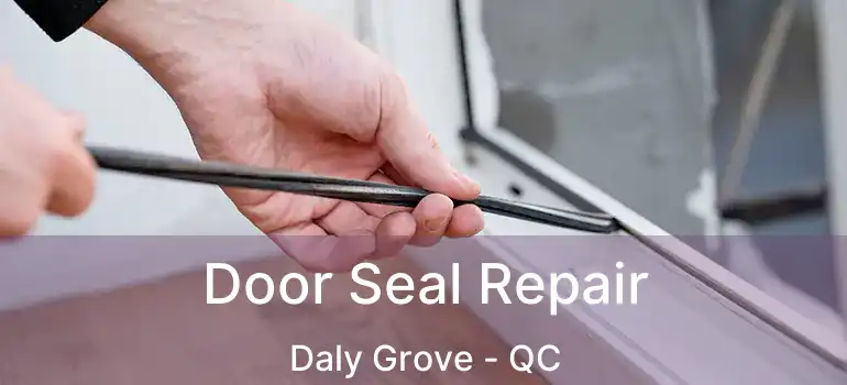  Door Seal Repair Daly Grove - QC