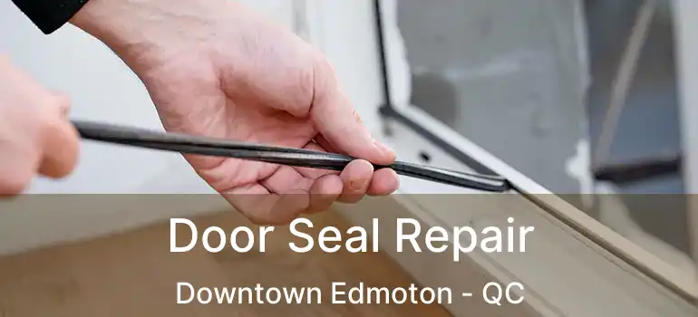  Door Seal Repair Downtown Edmoton - QC