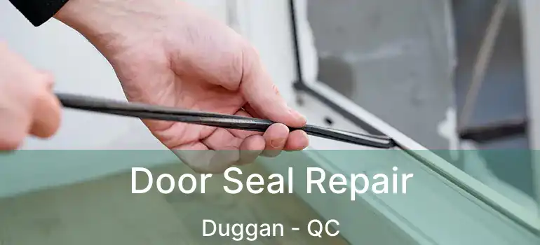  Door Seal Repair Duggan - QC