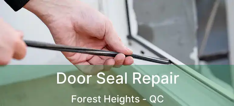  Door Seal Repair Forest Heights - QC