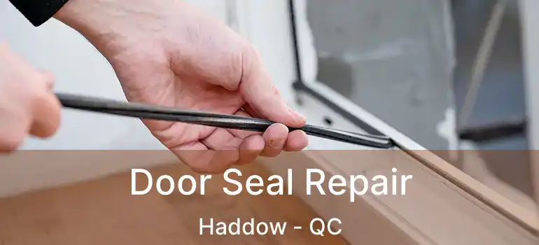  Door Seal Repair Haddow - QC
