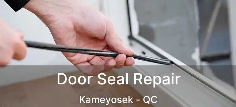  Door Seal Repair Kameyosek - QC