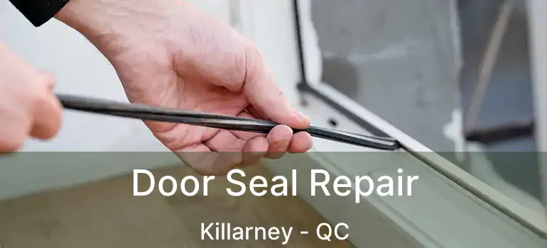  Door Seal Repair Killarney - QC